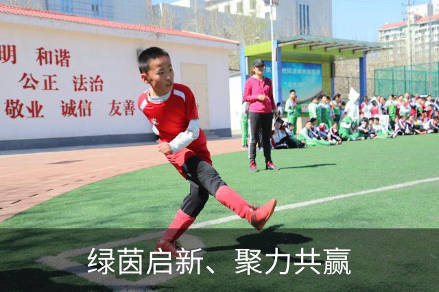 绿茵启新、聚力共赢